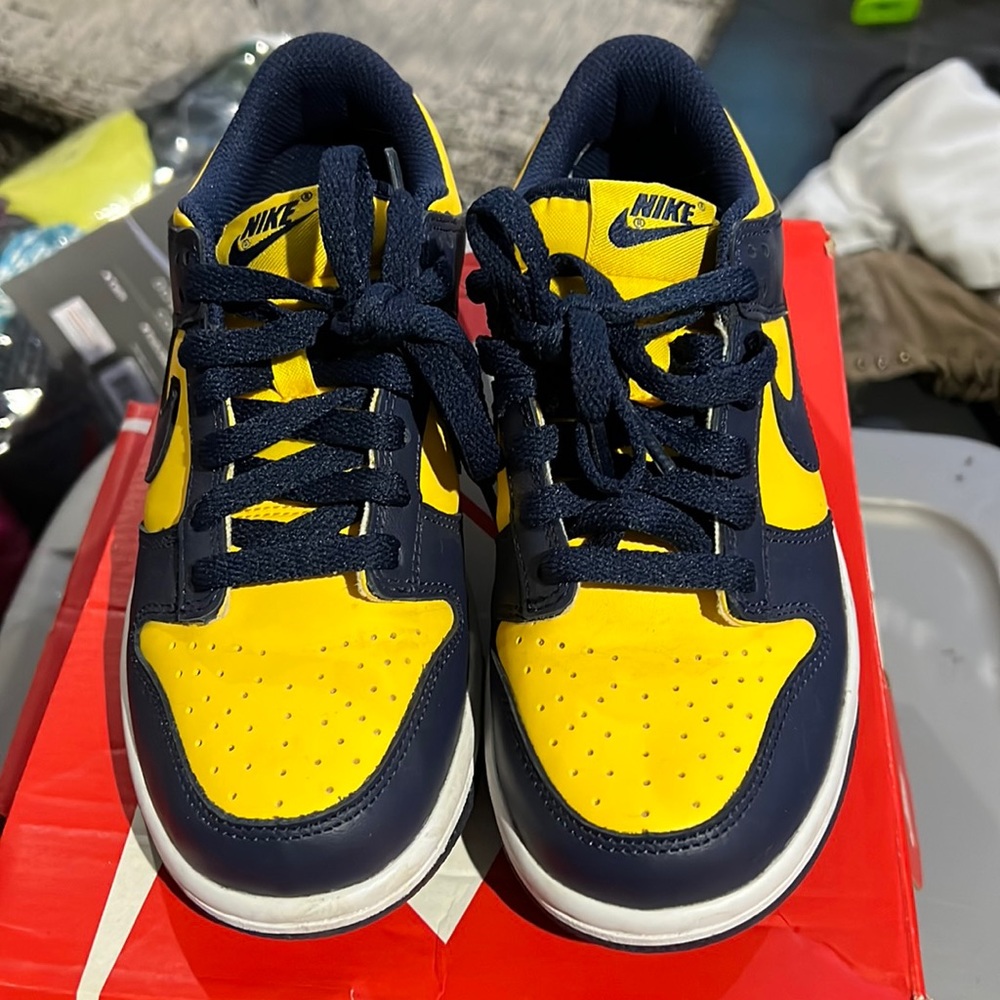 Nike Michigan Dunks
